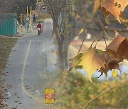 대구·경북, 어제보다 아침기온 10도 안팎 떨어져… 다음주 더 추워