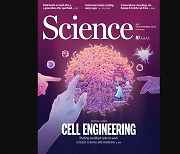 [표지로 읽는 과학] 무한한 잠재력 지닌 세포공학