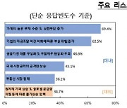 전문가 58.3% "1년내 금융위기 가능성"