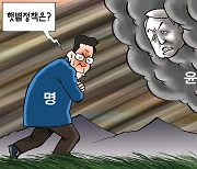 한국일보 11월 28일 만평