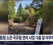 산림청 소관 국유림 관리 사업 내달 마무리