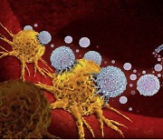 ‘원샷’ 카티세포 치료, 암 치료 패러다임 바꿀까?