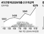 불황의 단면…예금담보·약관 대출 늘었다