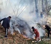 '산불 계도 헬기 추락사고'에 정치권, 원인규명 촉구