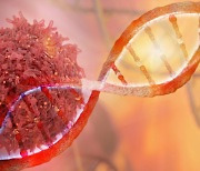 악성암 원인 DNA손상 복구 원리 찾았다