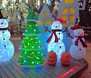 한해 마무리는 경주엑스포대공원에서…12월 '빛의 축제'