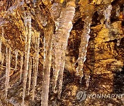 '가는 가을이 아쉬워'…쌀쌀한 날씨에도 유명산·관광지 '북적'