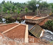 신림청의 인니 이탄지 복원사업, 공적개발원조 우수사례 선정