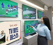 "월드컵 TV 매출 늘었다"