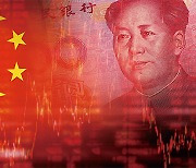 [해외칼럼] 불안한 중국 투자자들은 어떤 전략을 취해야 할까