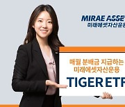 “매월 꼬박 꼬박” 미래에셋운용, TIGER ETF 2종 월분배 나선다