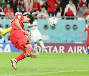 조규성 멀티골... 한국, 가나에 0-2 끌려가다 짜릿한 동점