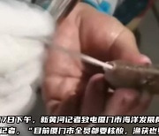 생선 주둥이에 면봉 푹…"모기도 검사해라" 조롱받은 中영상