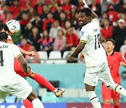 [속보] 조규성, 카타르 월드컵서 첫 골…가나전 '1-2'