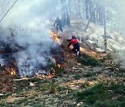 산불 계도 헬기 추락에…여야 "철저한 원인규명을"