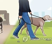 익산시의원 "고독사 취약가구-유기동물 연계, 지원해야"