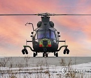 국산 소형무장헬기 양산…한국판 스파이크·엑스칼리버 개발(종합)