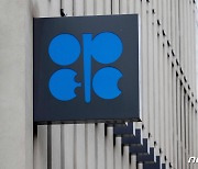 유가 변동성 확대…OPEC+ 회의 앞두고 추가 감산 가능성