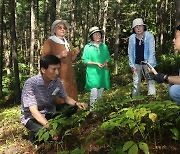 산림청 227개 주민공동체 발굴·육성…민간주도 창업 견인