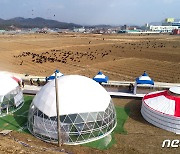 '매사냥 시연' 독수리 축제…12월3~4일 경남 고성읍 기월리