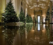 크리스마스 트리 가득한 백악관