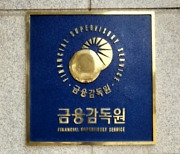 금감원, 신한라이프·KDB생명에 'GA관리 강화' 통보