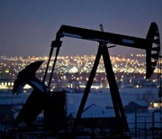 변종 바이러스 공포에 국제유가 급락…WTI 2.6%↓