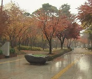 대구·경북 흐리고 한 때 빗방울…기온 뚝, 한파경보