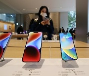 中 공장 시위 ‘직격탄’ 맞은 애플, 아이폰 600만대 생산 차질
