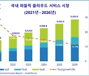 국내 퍼블릭 클라우드 시장, 전년 17.8%↑…2025년 5조 규모 간다