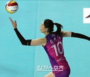 [포토]김연경, 여제의 신중한 서브