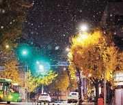 서울·인천에 올겨울 '첫눈' 내렸다…"눈 쌓이진 않을 듯"