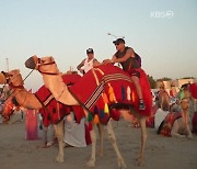 [ET] “낙타 살려~” 월드컵 특수에 낙타들 ‘초과 근무’ 중
