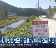 김해시, 해반천 인근 가금류 171마리 긴급 처분