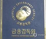 금감원, 외부감사인 대상 ‘2022년 회계현안설명회’ 개최