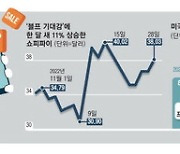 [월가월부] 블프 장사 잘했다 … 주목 받는 온라인결제株