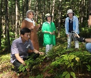 산림청, 그루경영체 통해 올해 71개 법인 창출…산림분야 창업 견인