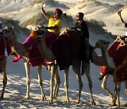 갑자기 폭증한 월드컵 관광객 하루 40명까지 실어날라…학대 수준 카타르 낙타 체험