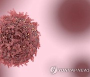 "소아 조혈모세포 이식 후 '폐 합병증' 원인 규명"