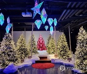 코엑스아쿠아리움, 크리스마스 이벤트 오픈