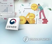 "미술·한우 조각투자도 증권투자 해당"…뮤직카우는 제재 면제