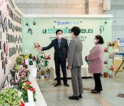 부산진구, '진(Jin)이의 하루 - 내 반려식물을 소개합니다' 사진전 개최