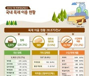 작년 국산 목재 이용률 17.1%…전년比 1.4%↑