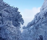 [오늘의 날씨]제주(30일, 수)…기온 뚝, 한라산에 눈