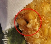 "모기붙은 감자튀김"..맥도날드, 기생충 이어 또 이물질 논란