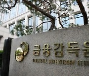 금감원 "'불판' 분석정보 금융사와 공유… 내부통제 강화"