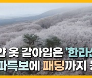 [자막뉴스] 하얀 옷 갈아입은 '한라산'..한파특보에 패딩까지 등장