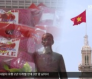 [한-베 30주년 기획]② 주목받는 경북 농산물…베트남 시장 선점 박차