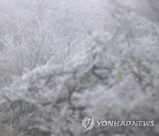제주 해안·한라산 '첫눈'…평년보다 열흘 빨라