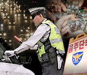 음주 측정 거부하고 경찰 폭행… 부산서 20대 검거